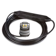 ECCO SAFETY GROUP LED FLASHER: HIDE-A-LED, PLUG-IN, WIDE (4 LED), 12VDC, AMBER 9031A